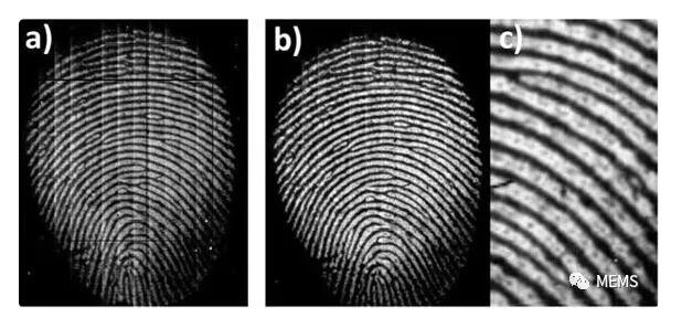 荷蘭科學(xué)家研發(fā)新型柔性高分辨率指紋識別傳感技術(shù)